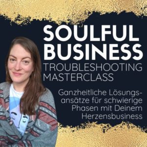 Soulful Business Troubleshooting Masterclass