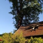 Tagungshaus Karneol Retreat Suzanne Frankenfeld 10