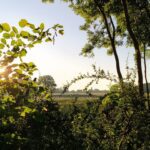 Tagungshaus Karneol Retreat Suzanne Frankenfeld 11