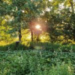 Tagungshaus Karneol Retreat Suzanne Frankenfeld 13