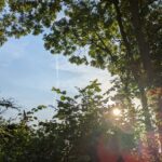 Tagungshaus Karneol Retreat Suzanne Frankenfeld 4