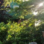 Tagungshaus Karneol Retreat Suzanne Frankenfeld 8 Retreat Tagungshaus Karneol 2026 2027 mit Suzanne Frankenfeld