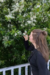 Im Mai an Blüten schnuppern